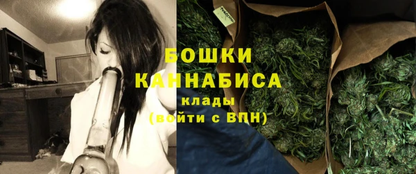 прущие грибы Тайга
