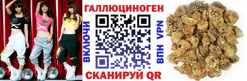 Псилоцибиновые грибы Psilocybe Шебекино